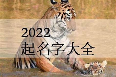 2022虎年男寶寶名字|2022年属虎的男孩取名 精选100个好名